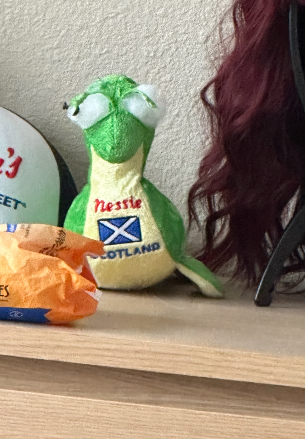 A stuffed Nessie toy brought home for Kevin